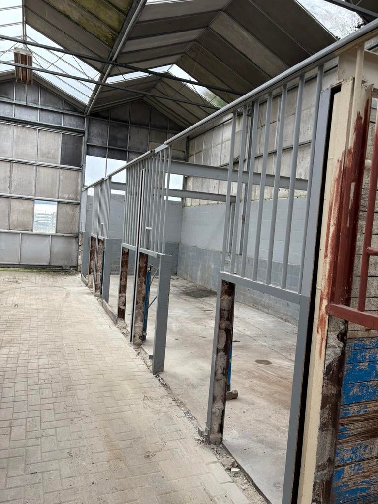 Te koop 5 paarden boxen, Dieren en Toebehoren