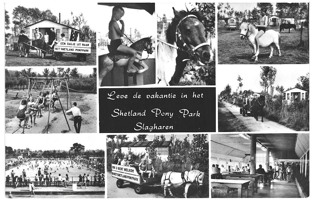 991325 Slagharen Shetland Pony Park O 1966 Gelopen met zegel, Ophalen of Verzenden, 1960 tot 1980, Gelopen, Overijssel