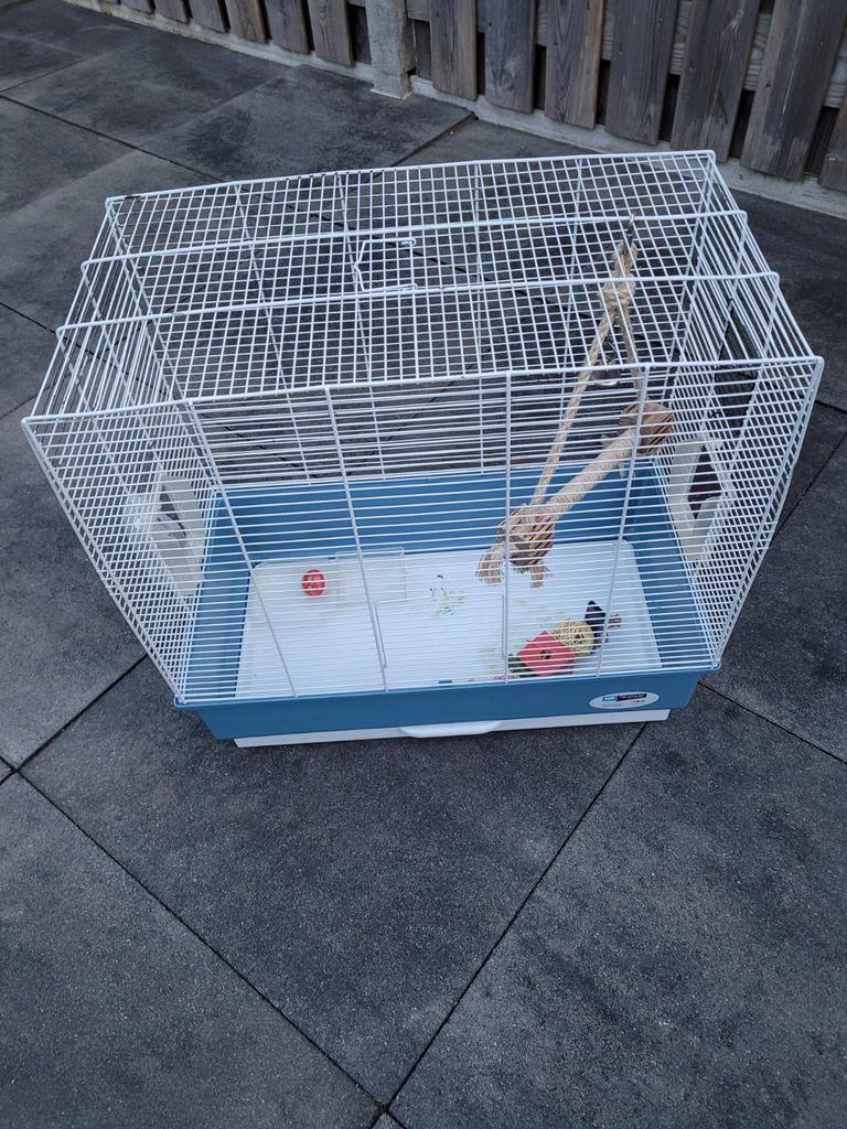 Vogelkooi, Ophalen of Verzenden, Zo goed als nieuw, Metaal, Vogelkooi