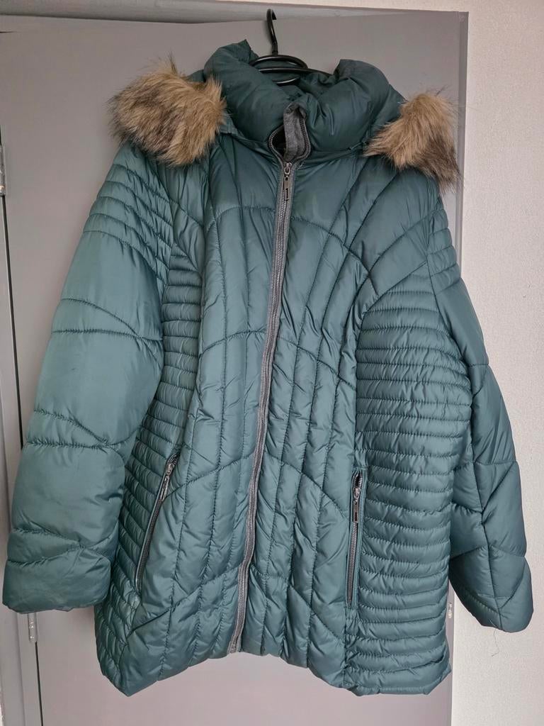 Groene winterjas zgan - Maat 56, Ophalen of Verzenden, Zo goed als nieuw, Maat 46/48 (XL) of groter, Groen