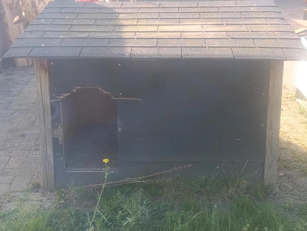 Hondenhok, Ophalen, 110 cm of meer, 100 cm of meer