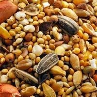 19kg Strooivoer voor Tuinvogels – Vogelvoer – € 22,50, Dieren en Toebehoren, Nieuw, Ophalen of Verzenden, 19kg strooivoer, Eten en Drinken