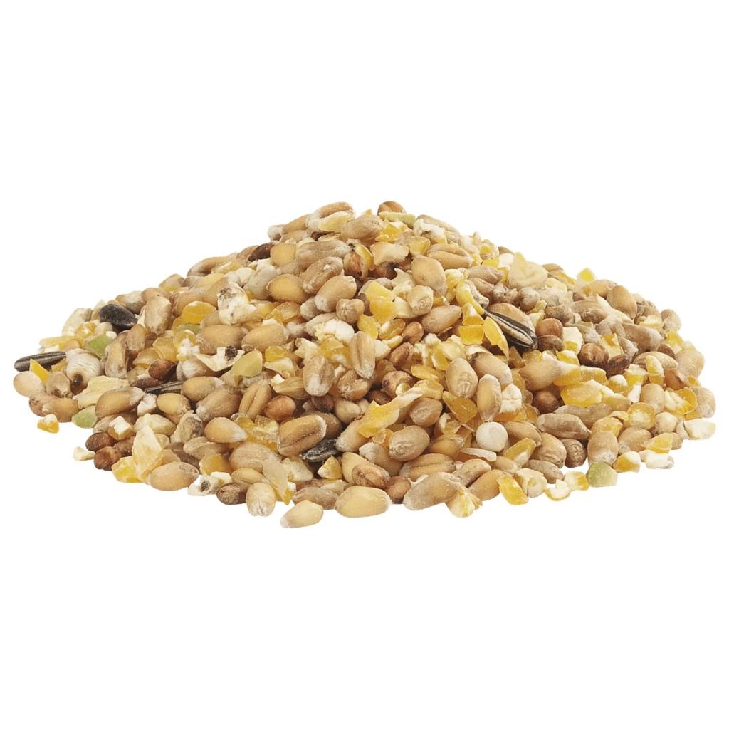 Kippenvoer - Legkorrel - Gemengd Graan, Ophalen of Verzenden, Pluimvee