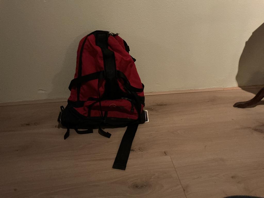 Rode daypack rugzak in goede staat, Overige merken, 40 cm of meer, Gebruikt, Ophalen of Verzenden