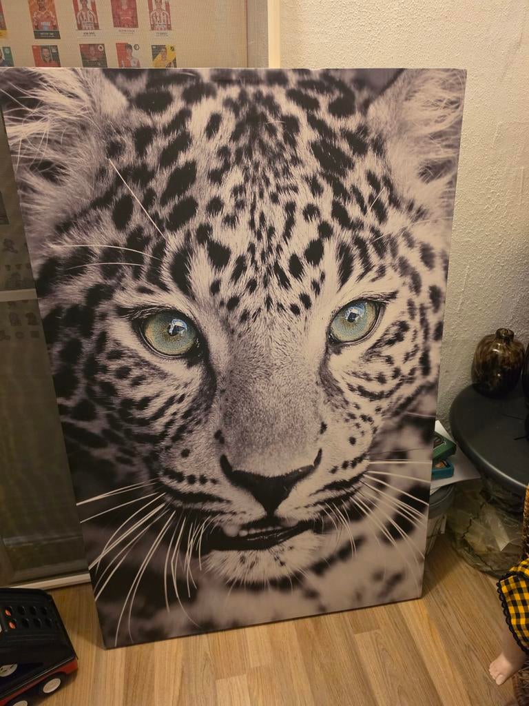 Grote canvas, Ophalen, 125 cm of meer, Zo goed als nieuw, Schilderij