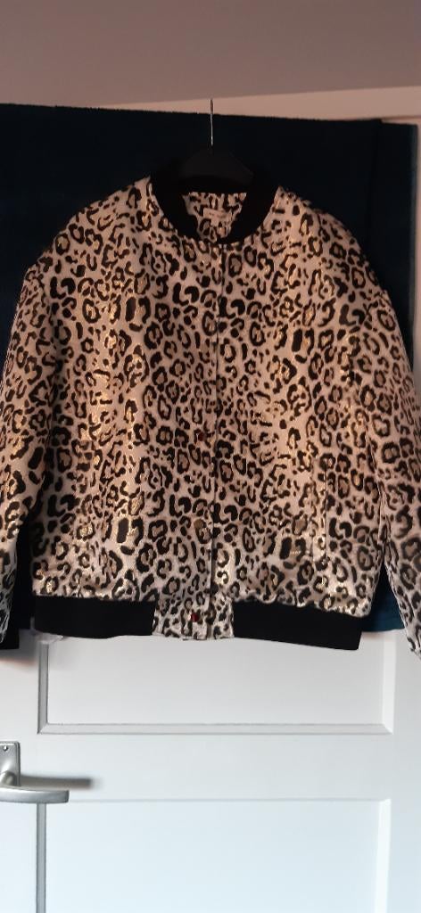 Super Panter jas Nieuw! 38/tm 42 kleine 44, Overige kleuren, Maat 42/44 (L), Nieuw, Ophalen of Verzenden