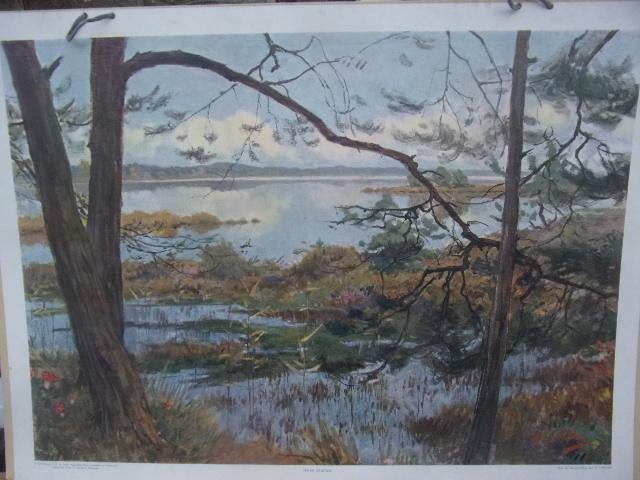 Schoolplaat Ven bij Oisterwijk ca. 1930 H.J. Wolter, Ophalen of Verzenden, Natuur en Biologie