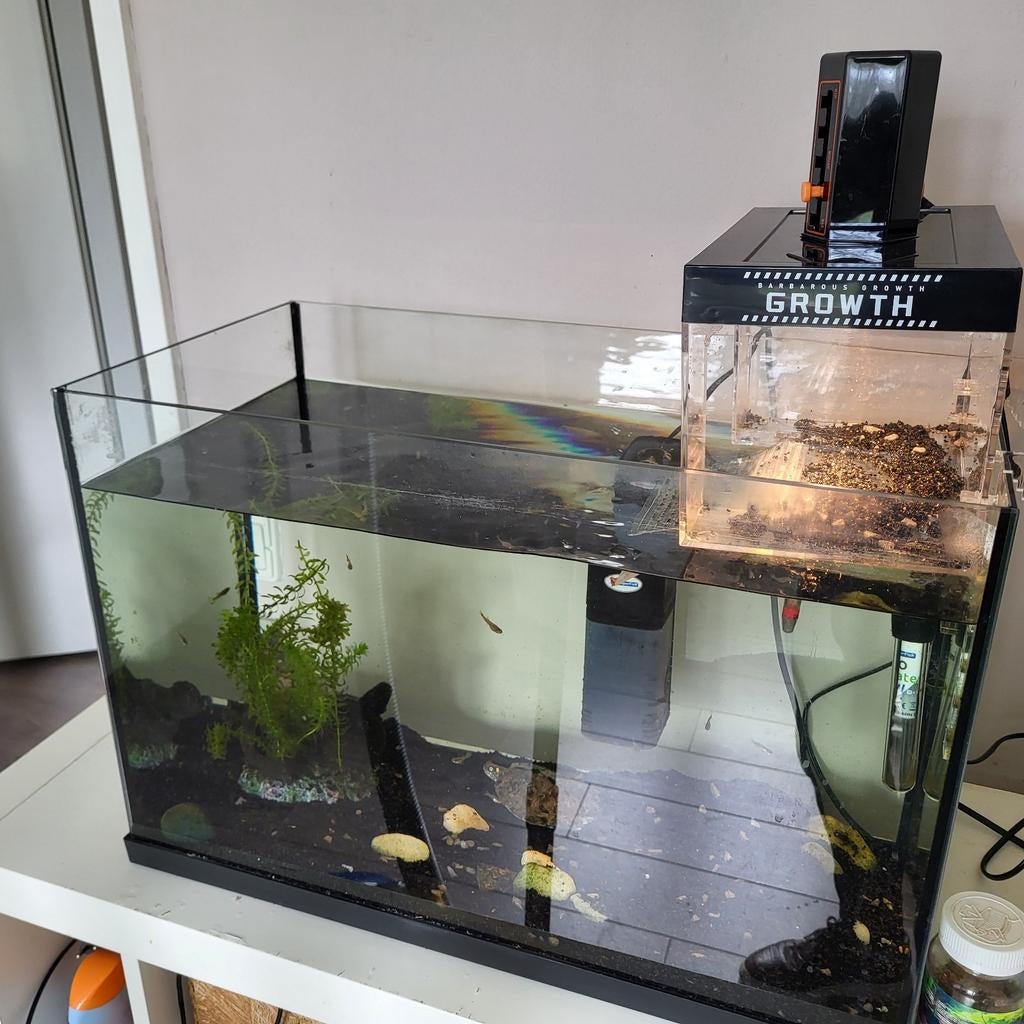 Schilpad met aquarium en visjes en alle toebehoren, Schildpad, 0 tot 2 jaar
