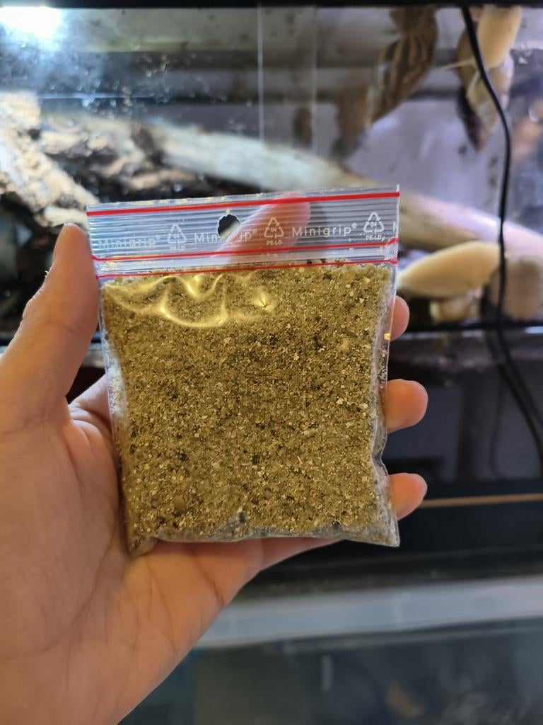 Slakkenmixjes, Dieren en Toebehoren, Overige Dieren, Maart, Meerdere dieren