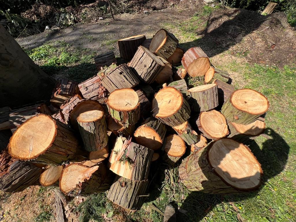 Paar kuub coniferen hout op blokken ca. 30 cm, 3 tot 6 m³, Ophalen, Overige houtsoorten, Blokken