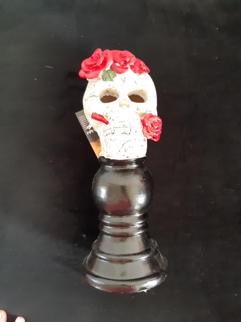 Beeldje skull, Verzamelen, Beelden en Beeldjes, Ophalen, Nieuw