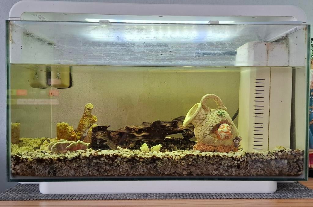 Aquarium SuperFish Home25, Dieren en Toebehoren, Vissen | Aquaria en Toebehoren, Ophalen, Leeg aquarium
