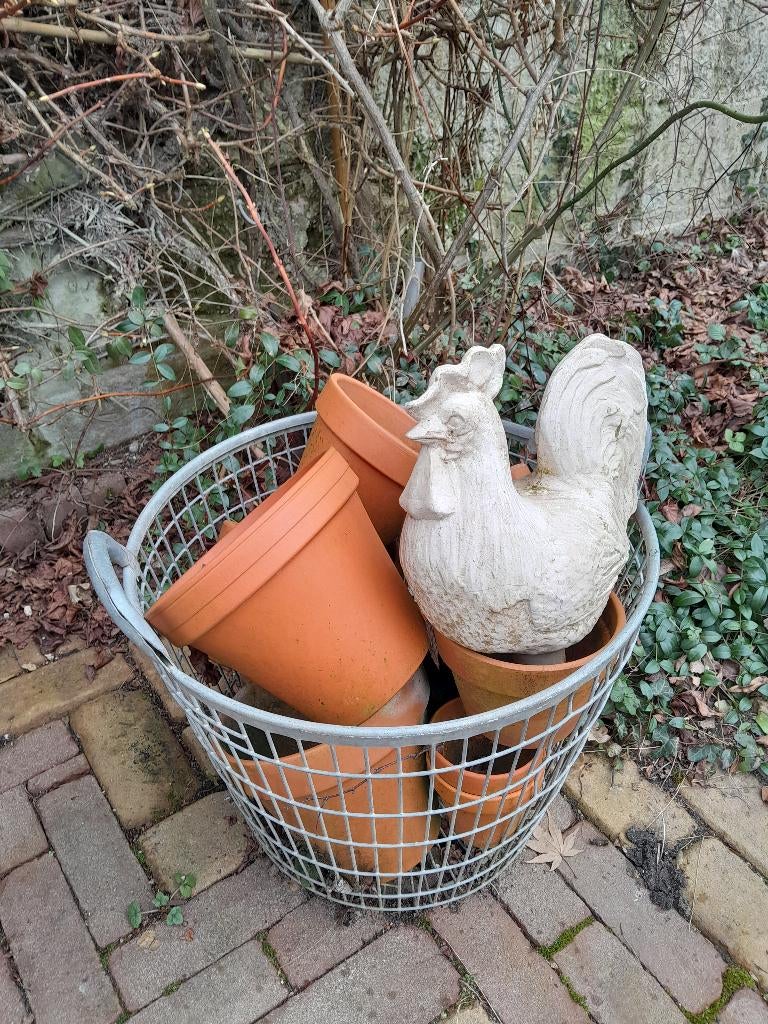 ~ Oude Terracotta Haan, Ophalen of Verzenden, Gebruikt, Overige materialen, Dierenbeeld