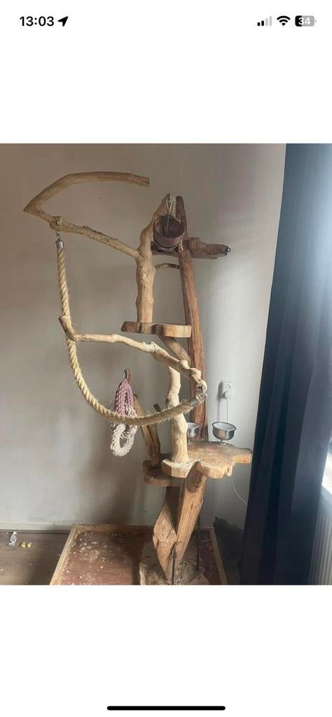 grote javaboom, Ophalen, Zo goed als nieuw