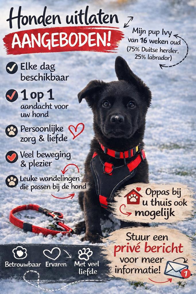 Aangeboden honden uitlaten, Ophalen