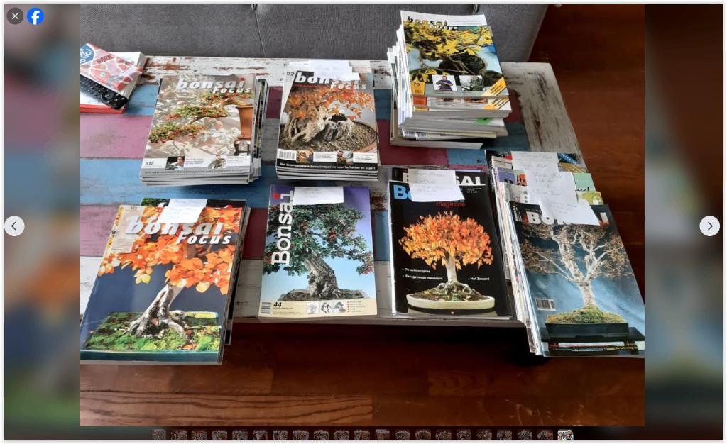 BONSAIMAGAZINE, Ophalen of Verzenden, Zo goed als nieuw