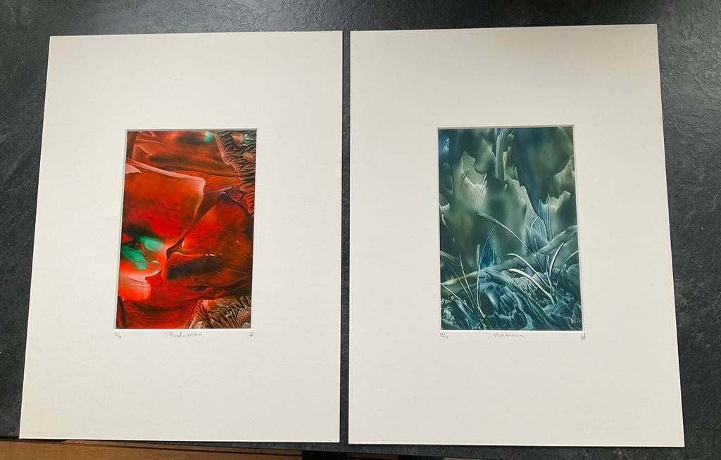 Te koop: twee kunstwerken Harry Penninkhof, Ophalen