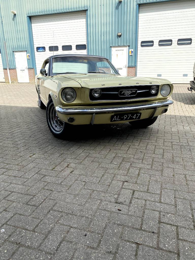 Ford MUSTANG V8 Coupé 289 V8 Springtime Yellow, Automaat, Achterwielaandrijving, Overige kleuren, Particulier