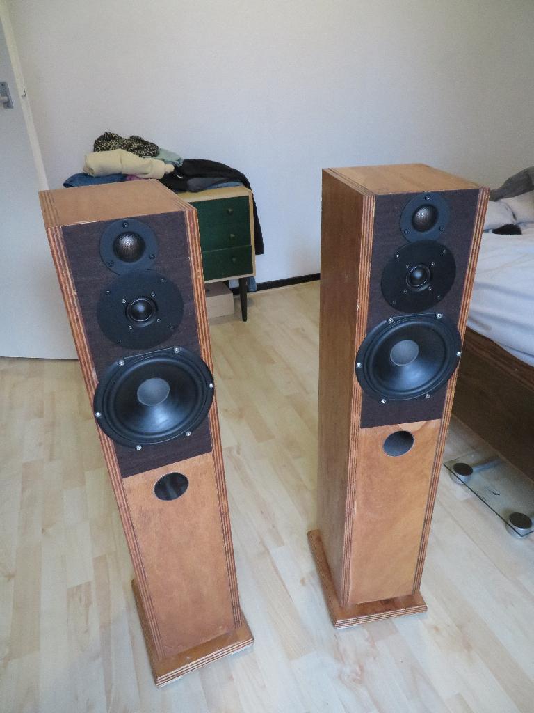 Luidsprekerzuilen zelfbouw, Audio, Tv en Foto, Luidsprekers, Gebruikt, Minder dan 60 watt, Front, Rear of Stereo speakers, Ophalen