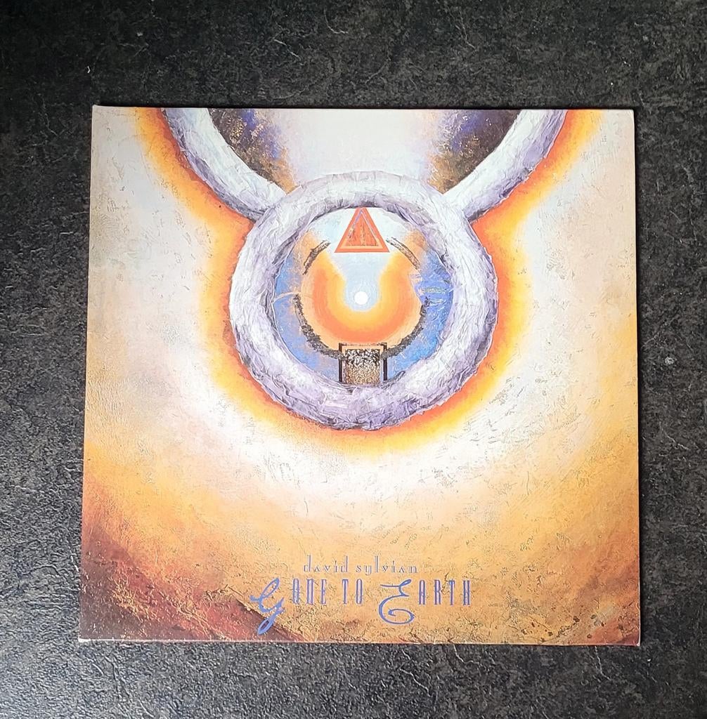 David Sylvian, Ophalen of Verzenden, Gebruikt, 12 inch