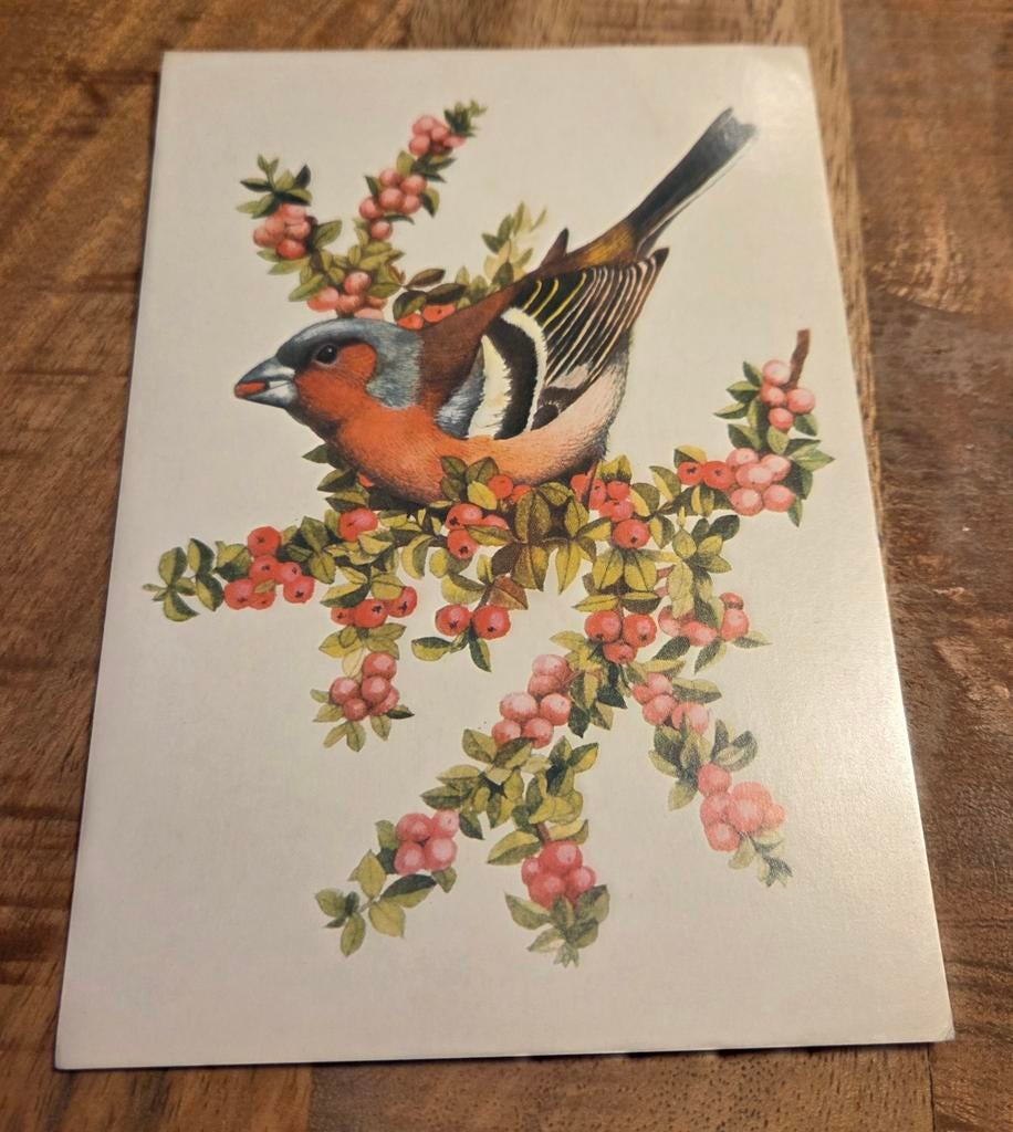 Vink, Verzenden, 1980 tot heden, Gelopen, Vogel