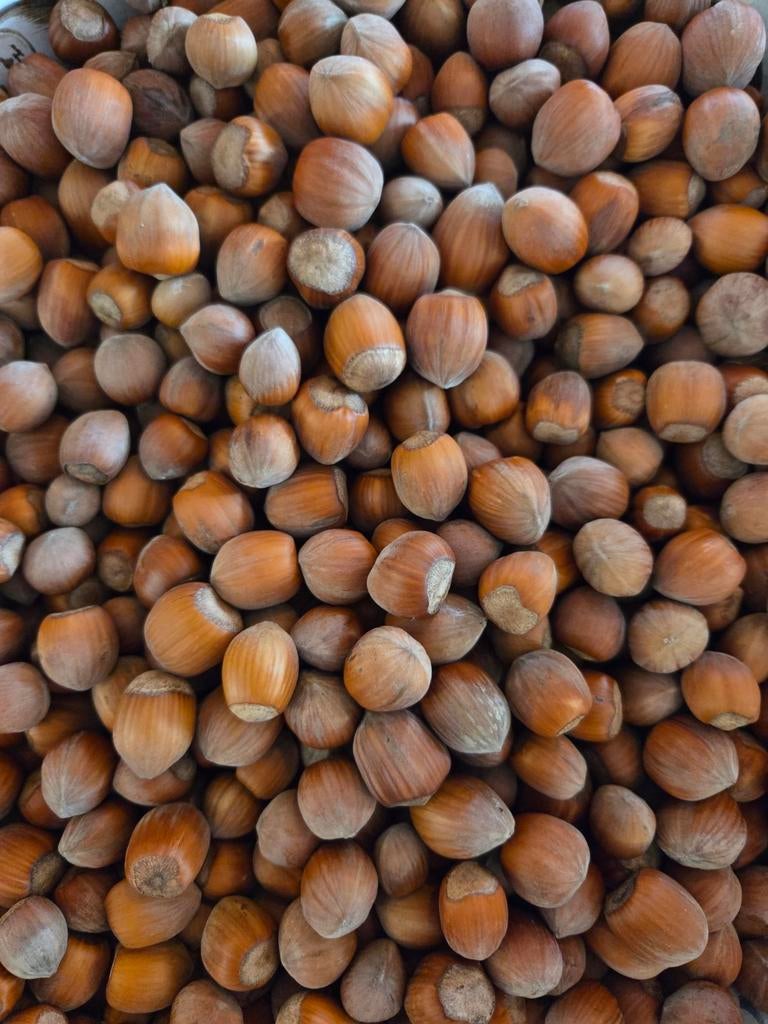 Biologisch geteelde hazelnoten van plantage "Hasseletheim", Diversen, Levensmiddelen, Ophalen of Verzenden