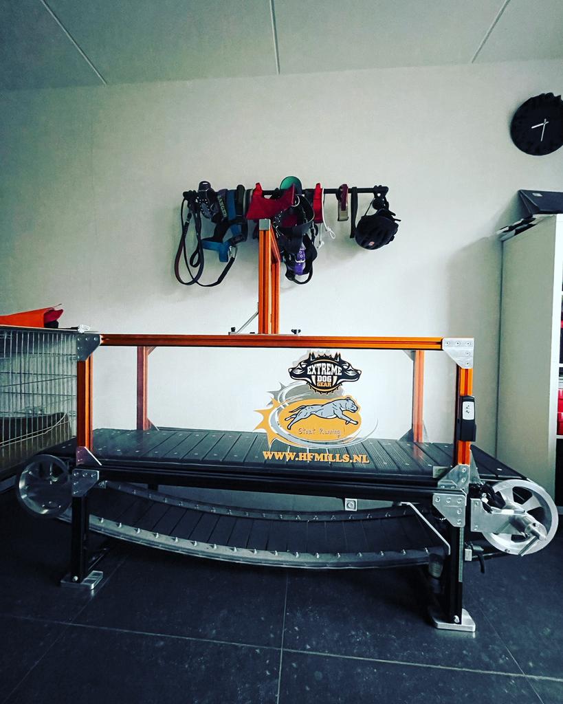 - IN PRIJS VERLAAGD- HF MILLS Honden loopband Te Koop., Dieren en Toebehoren, Honden-accessoires, Ophalen of Verzenden, Zo goed als nieuw