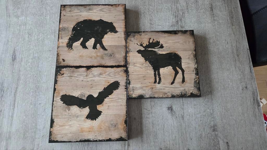 Schilderijtjes, Ophalen of Verzenden, Zo goed als nieuw, Schilderij, Minder dan 50 cm