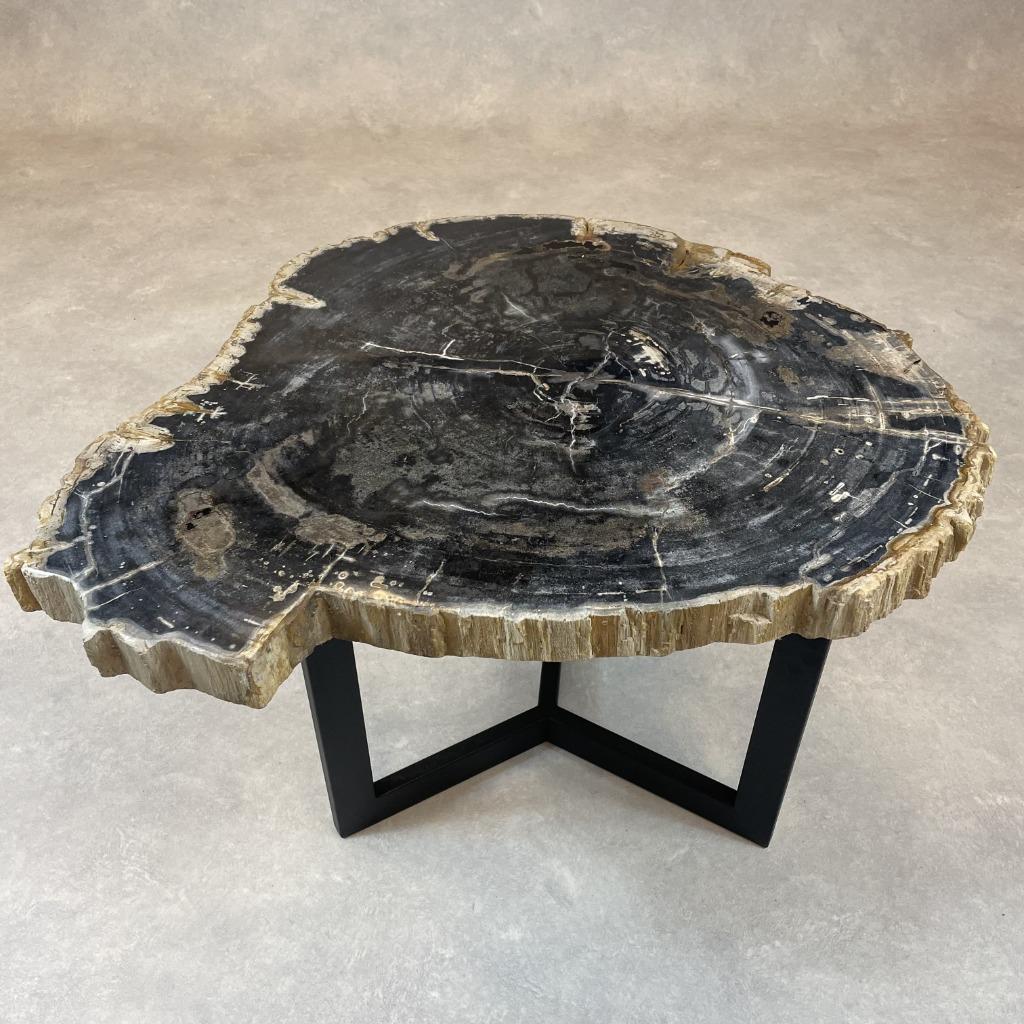 Versteend Hout Salontafels, Ophalen of Verzenden, Nieuw