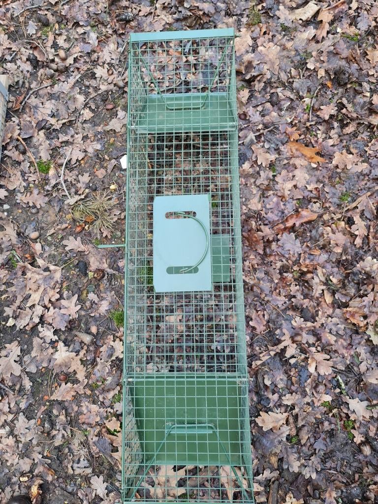 Vangkooi, Dieren en Toebehoren, Vogels | Hokken en Kooien, Ophalen, Zo goed als nieuw, Hout, Overige typen