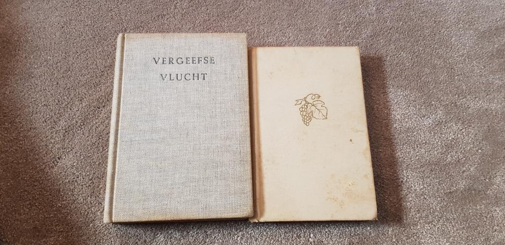 Rudolf van Reest, Boeken, Ophalen of Verzenden, Gelezen