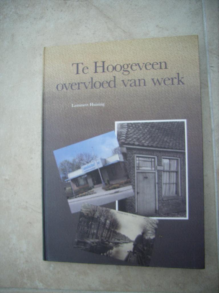 Te Hoogeveen overvloed van werk - Lammert Huizing, Ophalen of Verzenden, 20e eeuw of later, Nieuw, Lammert Huizing