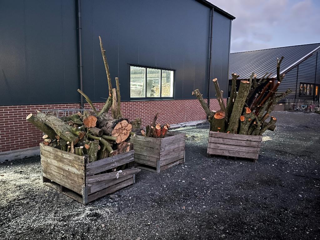 Openhaardhout, Minder dan 3 m³, Ophalen, Overige houtsoorten, Stammen