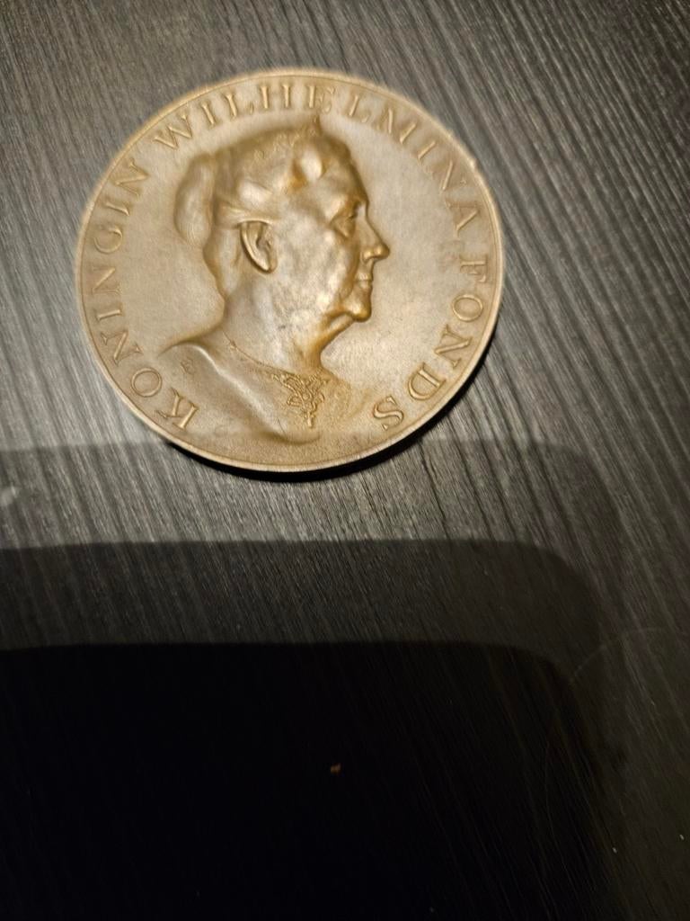 Koningin Wilhelmina Fonds Medaille - Uit Waardering, Ophalen of Verzenden