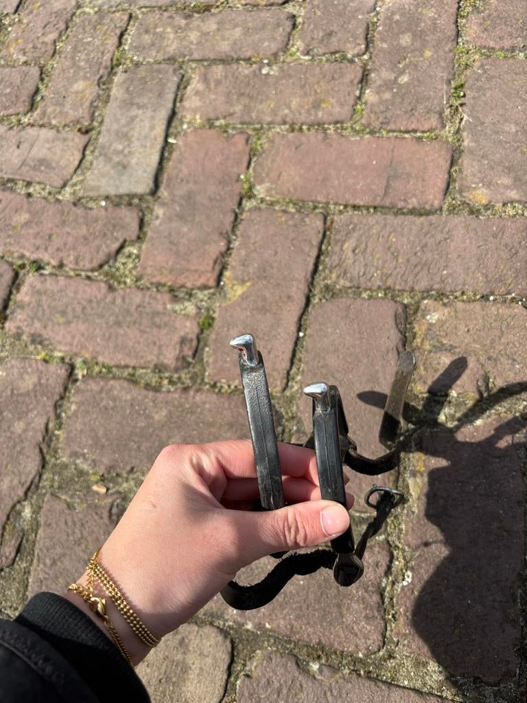 Sporen, Dieren en Toebehoren, Paarden en Pony's | Overige Paardenspullen, Ophalen of Verzenden, Gebruikt, Recreatie