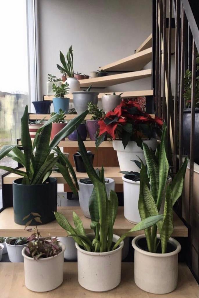 Kleurrijke vintage bloempotten voor kamerplanten diverse, Binnen, Ophalen of Verzenden, Zo goed als nieuw, Overige vormen