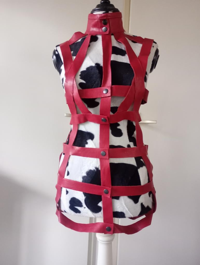 Kinky lederen jurkje met 38, Kleding | Dames, Jurken, Zo goed als nieuw, Boven de knie, Rood, Ophalen