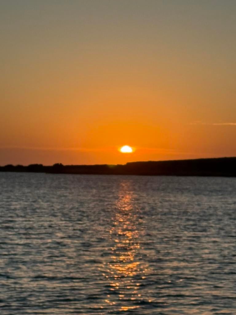 Remote werken, waar jij wil?, Vacatures, Vacatures | Thuiswerk, Starter, Overige vormen, LBO / VMBO, Geschikt als bijbaan