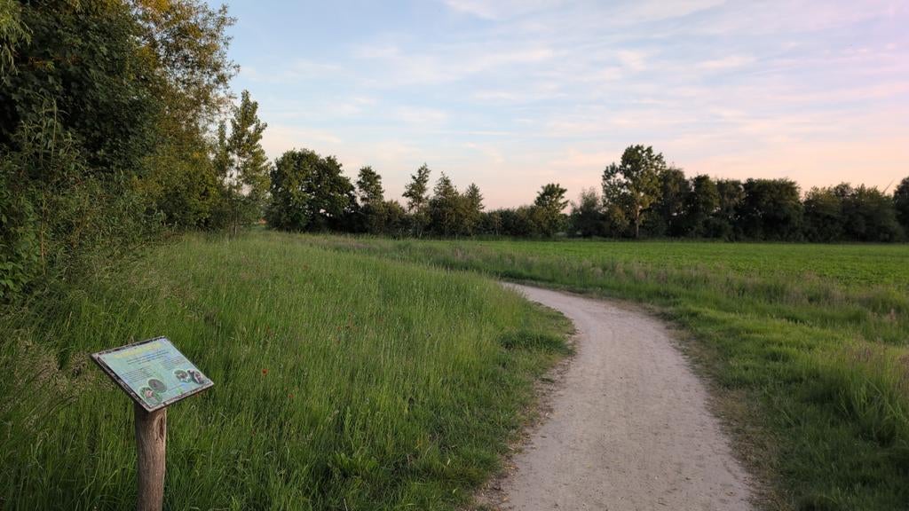 Dame gezocht, Contacten en Berichten