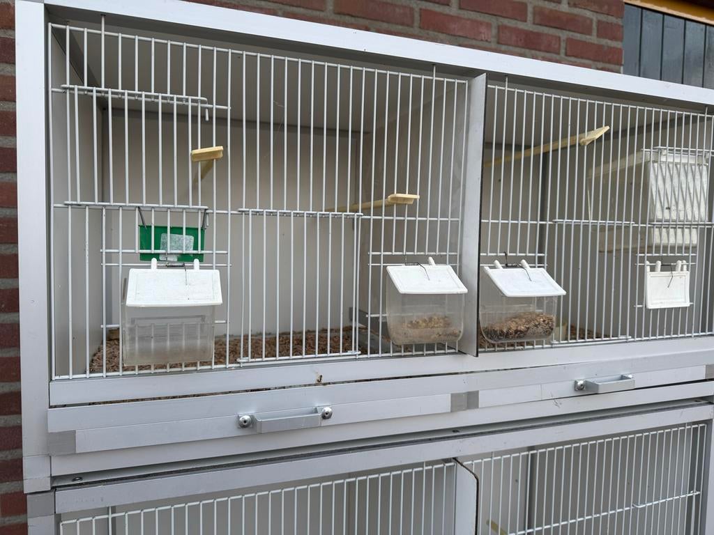 Broedkooien met kast, Dieren en Toebehoren, Ophalen, Zo goed als nieuw, Aluminium, Broedkooi of Kweekkooi