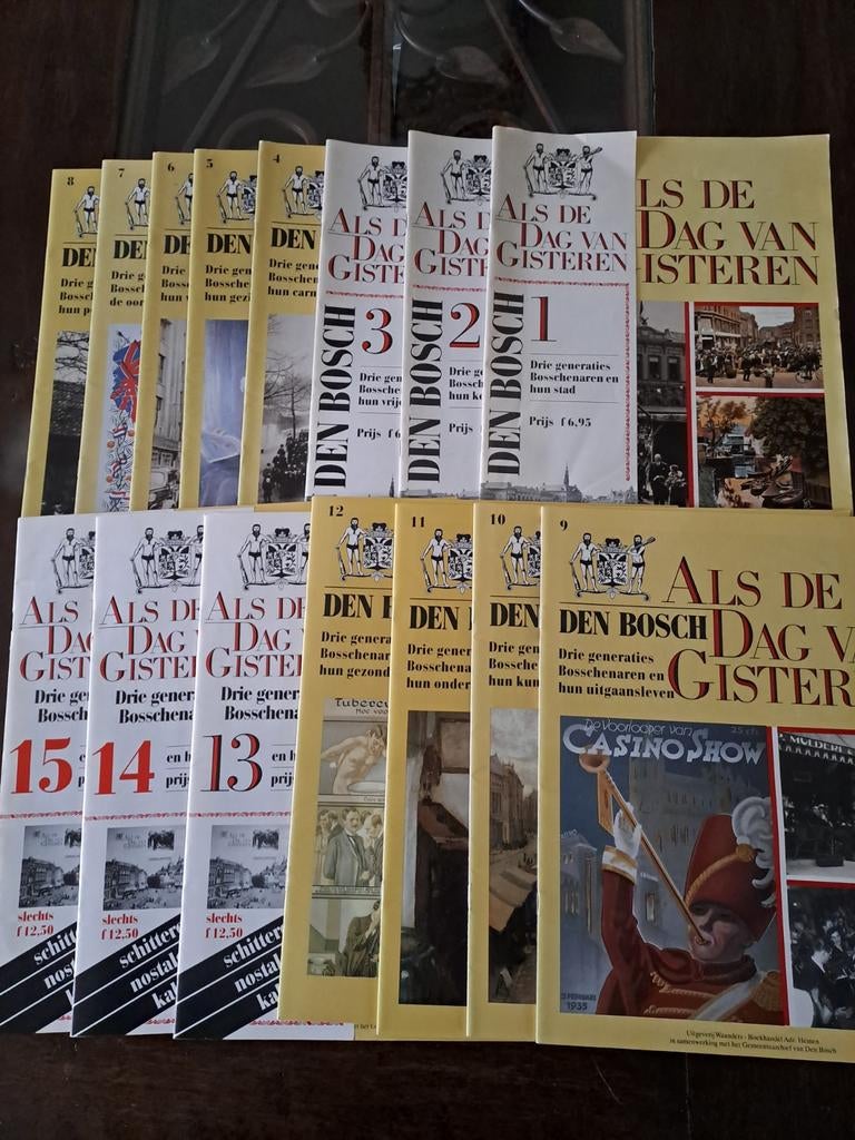 Als de dag van gisteren Den Bosch, Boeken, Geschiedenis | Stad en Regio, Ophalen of Verzenden, Zo goed als nieuw, Diverse auteurs