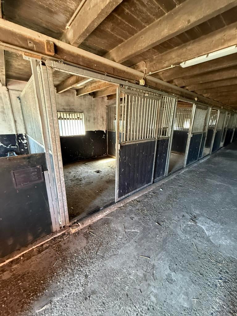 Stalwanden paarden box, Stalling, 1 paard of pony