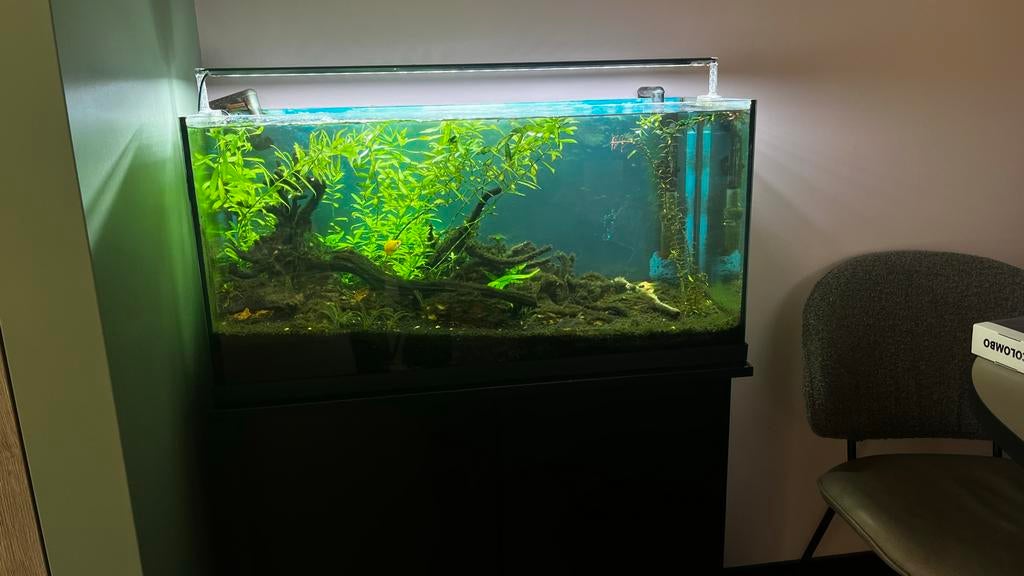 Aquarium met toebehoren (zeer compleet), Dieren en Toebehoren, Vissen | Aquaria en Toebehoren, Zo goed als nieuw, Gevuld zoetwateraquarium