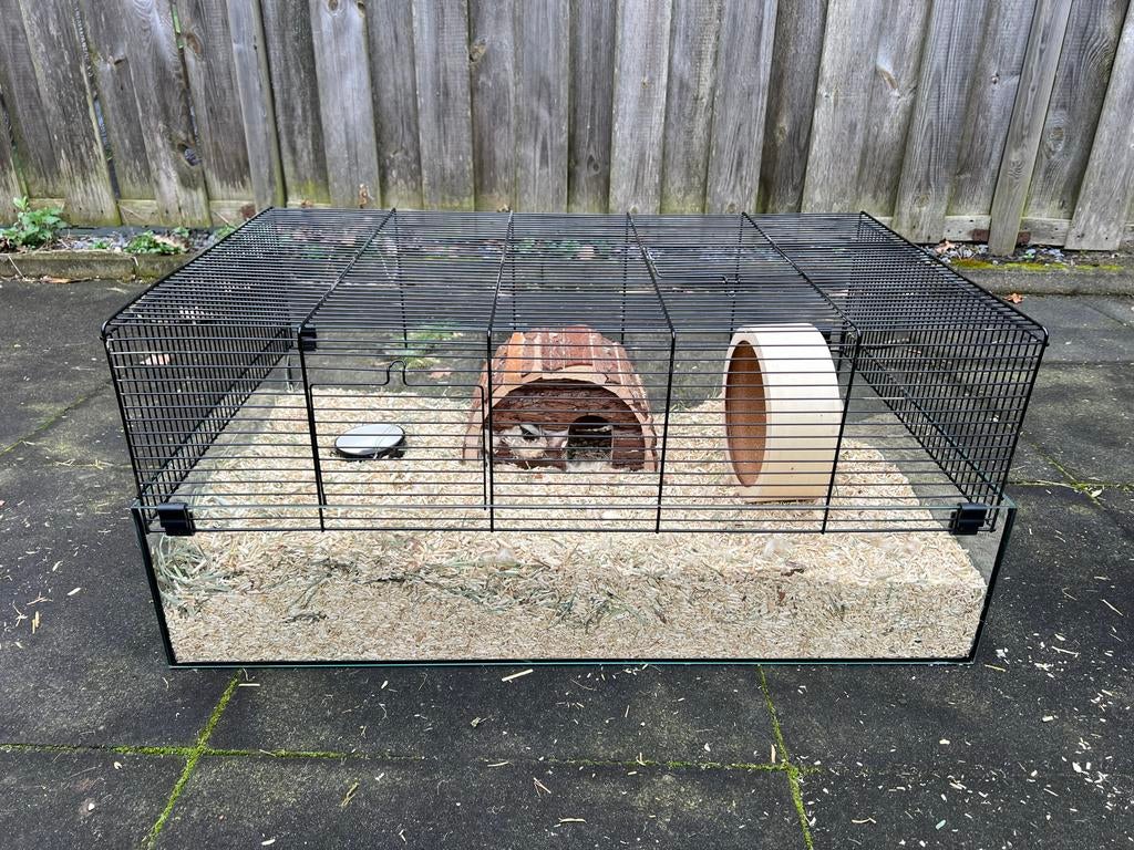 Hamsterkooi incl. toebehoren, Kooi, Gebruikt, Hamster, 75 tot 110 cm