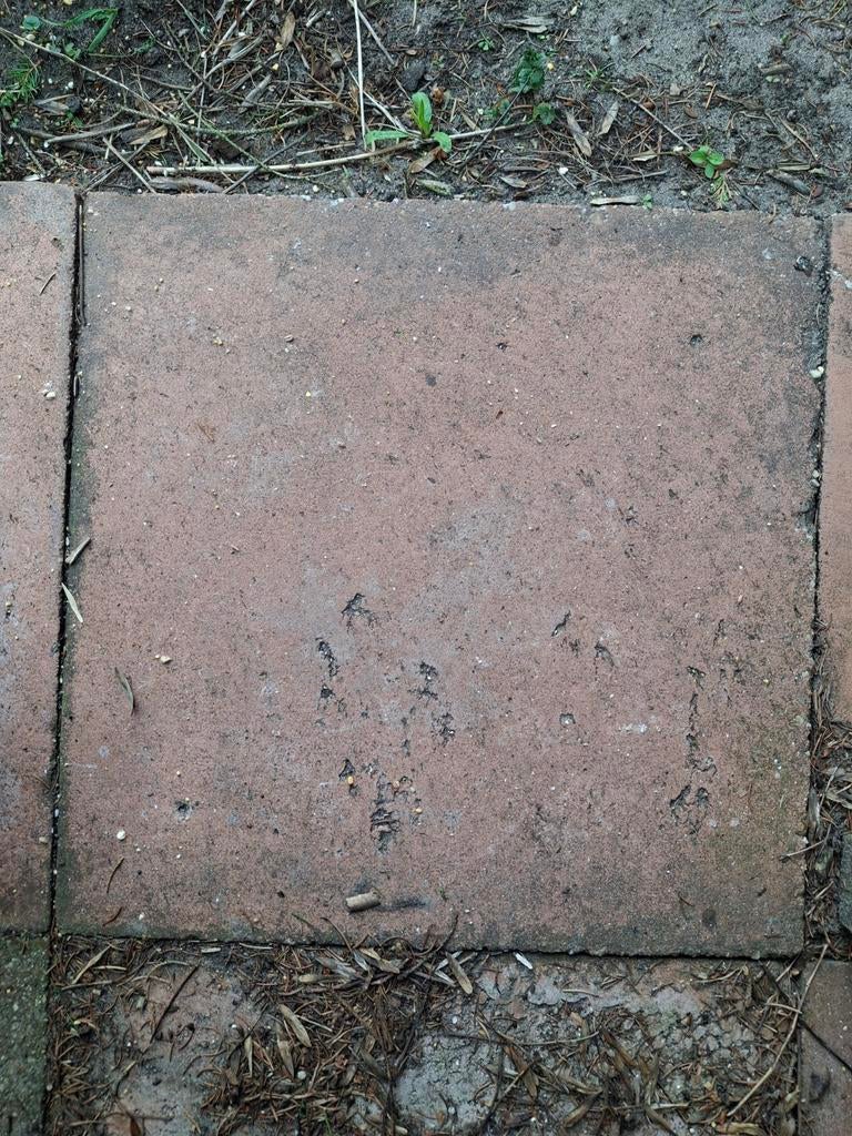 Tegels 50x50, Ophalen of Verzenden, Gebruikt, Beton, Terrastegels