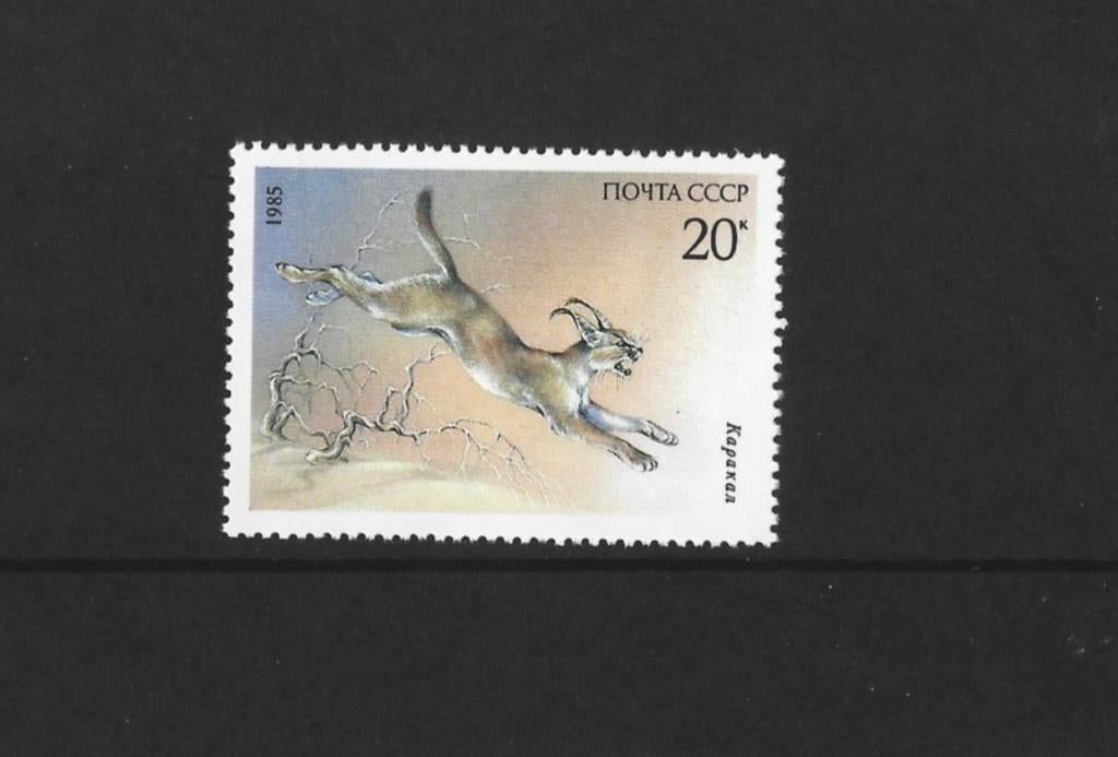 Bedreigde diersoort Caracal Rusland 1985, Ophalen of Verzenden, Postfris, Dier of Natuur