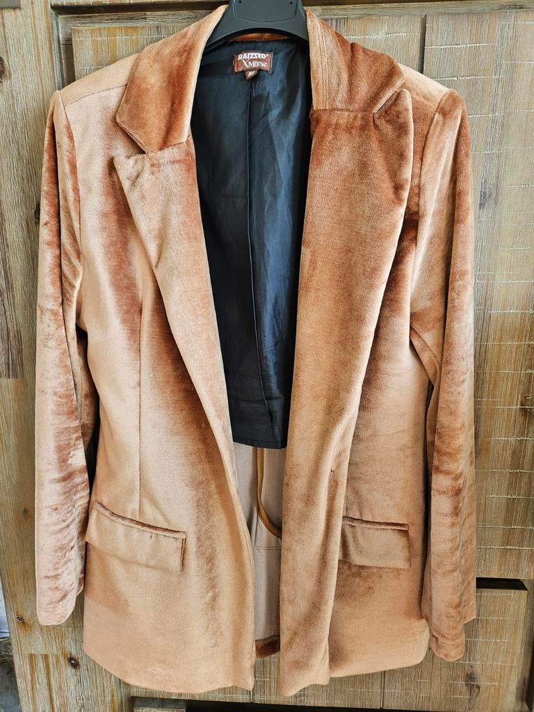 Stijlvol fluweelachtig Raizzed colbert - Maat M, Kleding | Dames, Maat 38/40 (M), Bruin, Raizzed, Ophalen of Verzenden