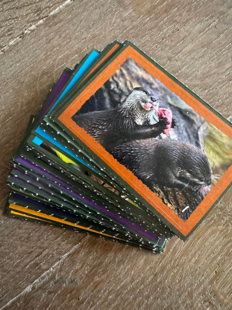 Stapeltje Artis stickers GRATIS, Overige supermarkten, Ophalen