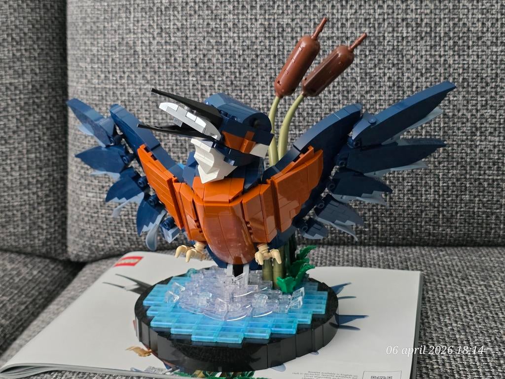 LEGO Icons 10331 IJsvogel met boekje, Ophalen of Verzenden