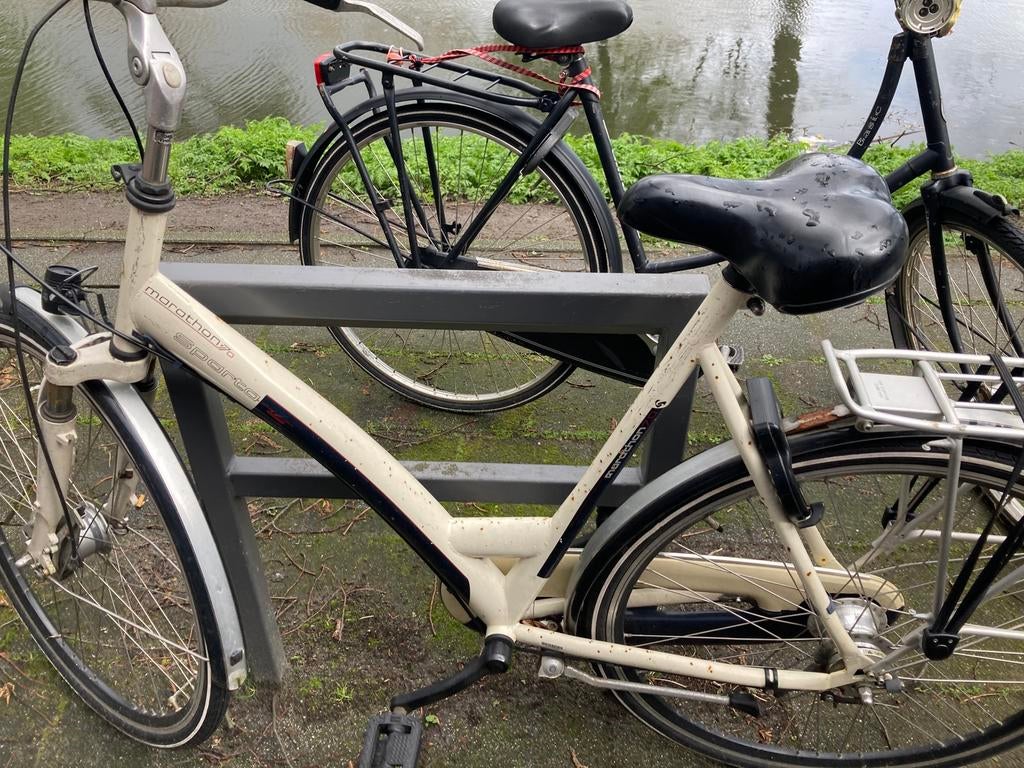 Damesfiets, Ophalen, Sparta, Versnellingen, 53 tot 56 cm